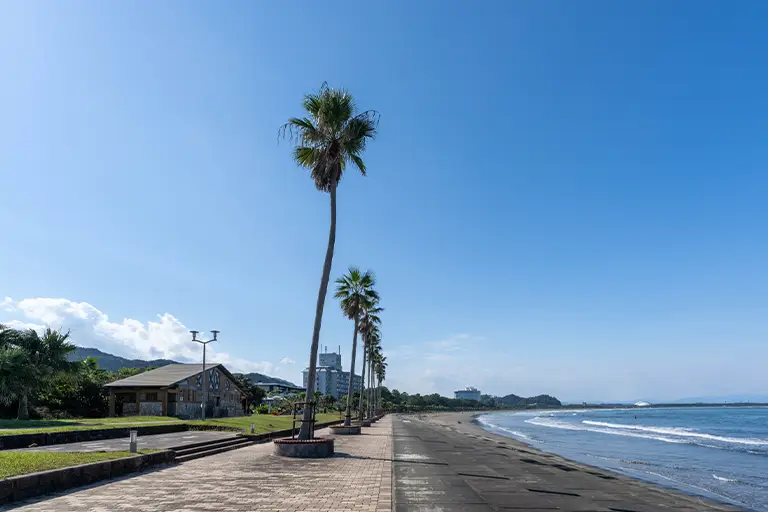 青島海水浴場